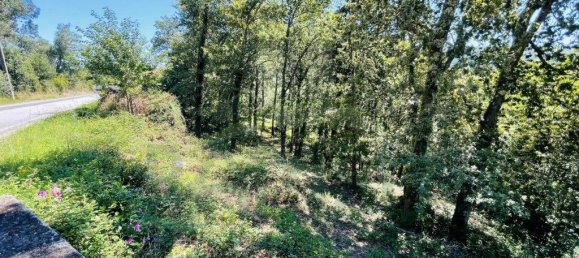 3154m² Land in Caminha, Portugal No. 57584 24