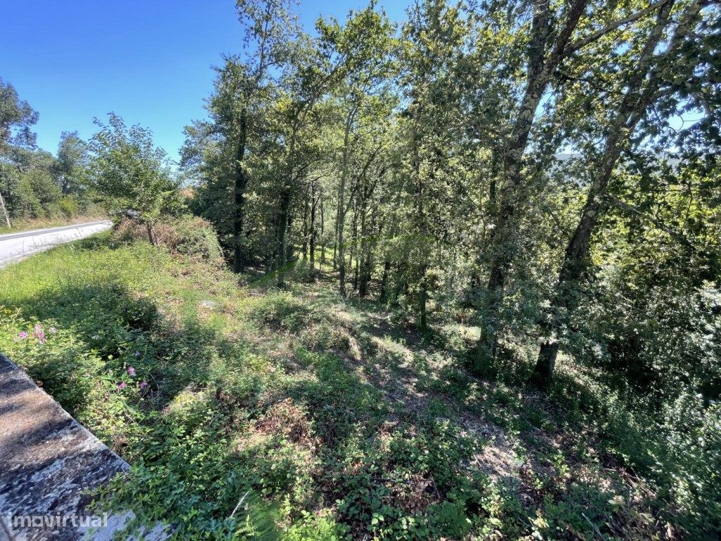 3154m² Land in Caminha, Portugal No. 57584