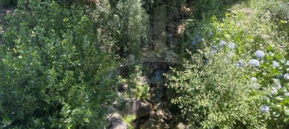 3154m² Land in Caminha, Portugal No. 57584 9