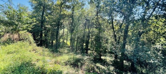 3154m² Land in Caminha, Portugal No. 57584 21