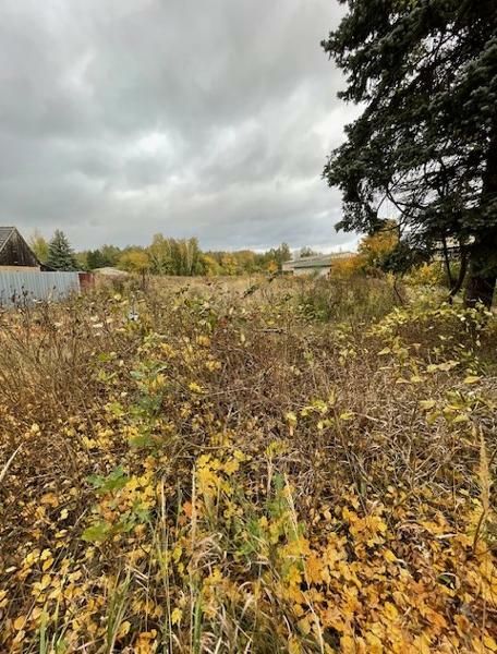 Terrain à Oberhavel, Germany No. 61815