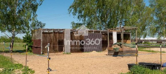  Castillos de 5 habitaciónes en Havelland, Germany No. 115937 4