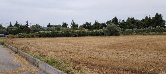 4800m² Hotel in Chalkidiki, Greece No. 5617 3