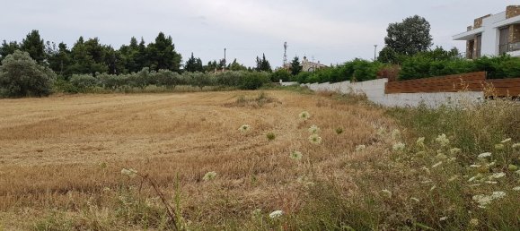 4800m² Hotel in Chalkidiki, Greece No. 5617 5