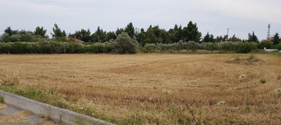 4800m² Hotel in Chalkidiki, Greece No. 5617 4