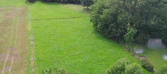 3688m² Land in Baldramsdorf, Austria No. 209515 3