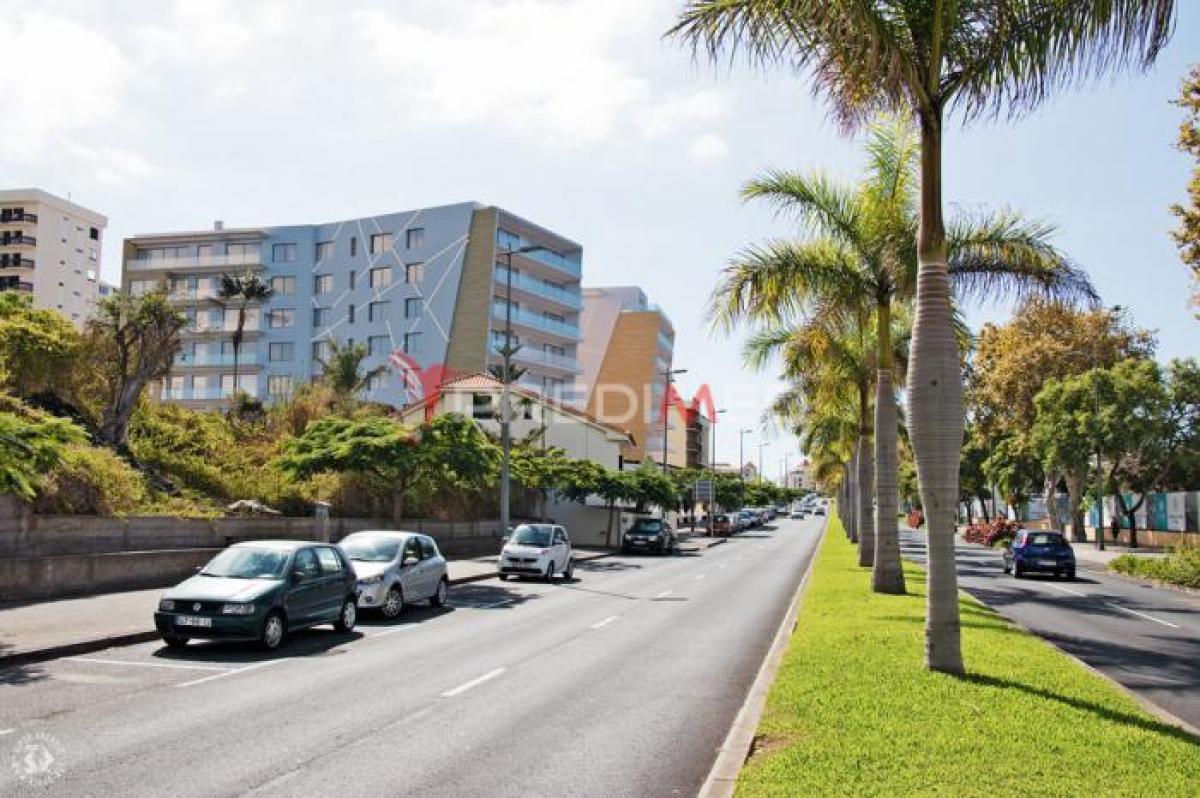 3 غرف نوم شقة في Funchal, Portugal رقم 615