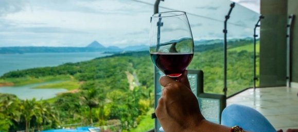 Studio in the Condo in Tilaran, Costa Rica No. 50 2