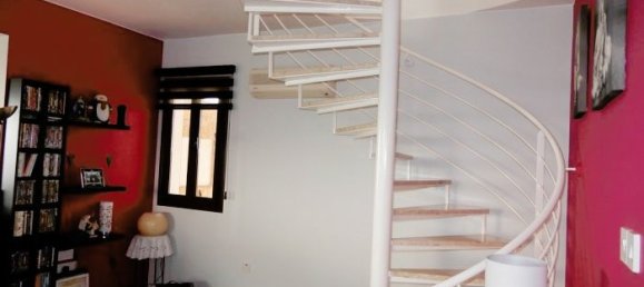 3 chambres Villa à Pegeia, Cyprus No. 21743 11