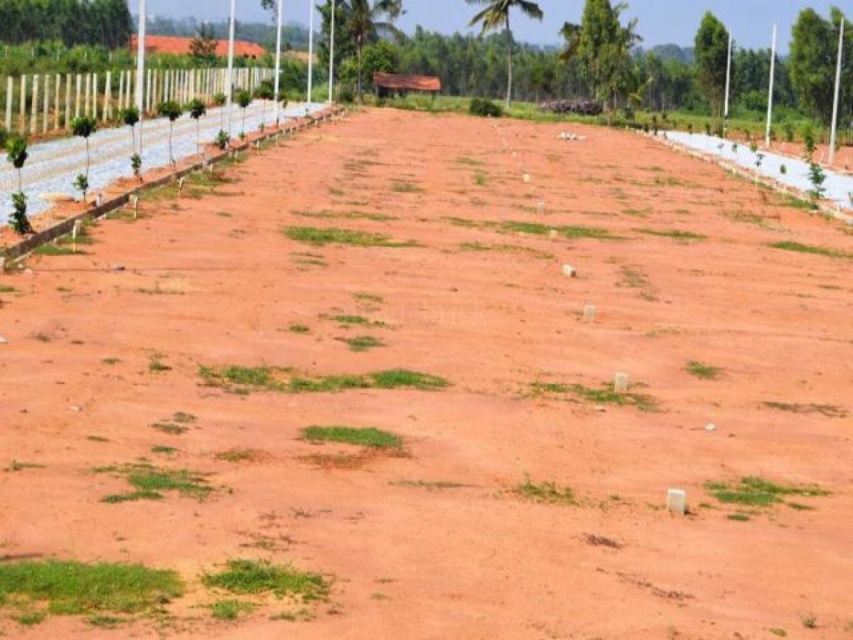  Land in Visakhapatnam, India No. 31999