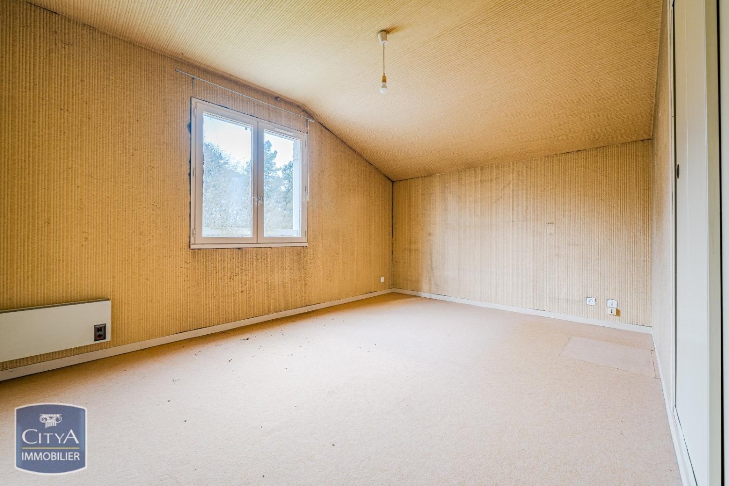 4 غرف نوم منزل في Chouze-sur-Loire, France رقم 88840