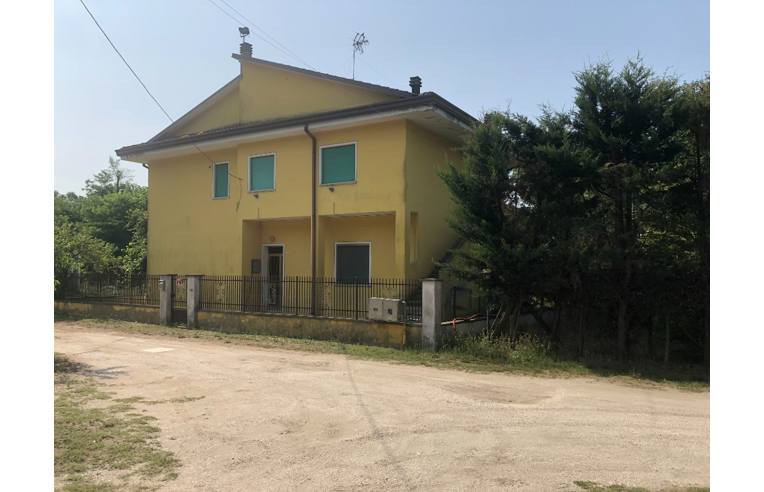 5 rooms House in Mesola, Italy No. 252925