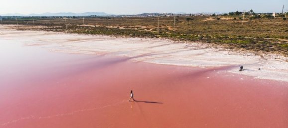 Apartamento T2 em Torrevieja, Spain N.º 9628 2