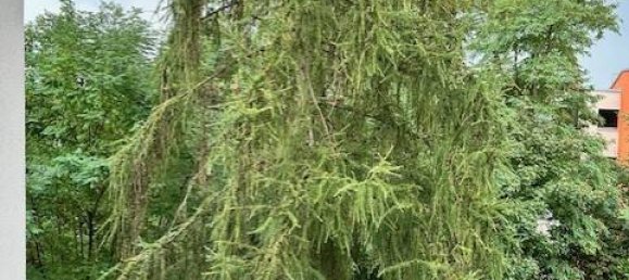 Apartamento de 2 divisões em Furth, Germany N.º 353146 3