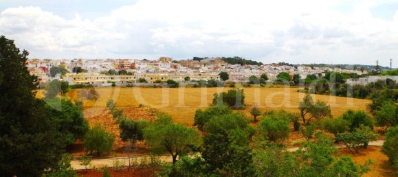 Земельный участок 28000м² в Sannicola, Италия № 105389 5