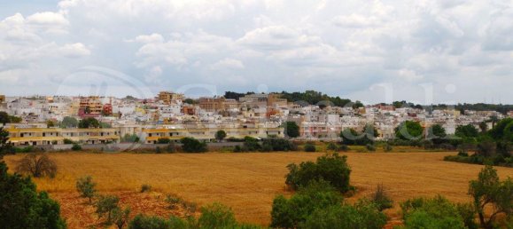 Земельный участок 28000м² в Sannicola, Италия № 105389 2