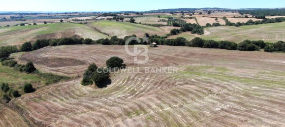 Terreno en Tuscania, Italy No. 381770 5