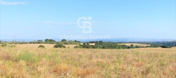 Terreno en Tuscania, Italy No. 381770 10