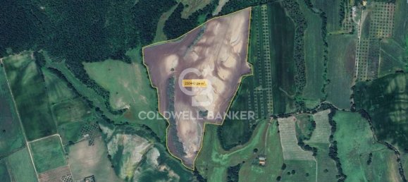 Terreno en Tuscania, Italy No. 381770 17