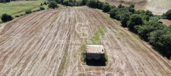 Terreno en Tuscania, Italy No. 381770 8