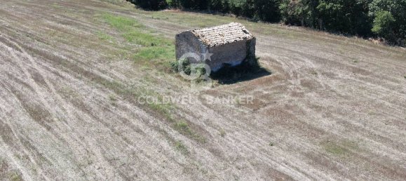 Terreno en Tuscania, Italy No. 381770 7
