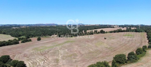 Terreno en Tuscania, Italy No. 381770 4