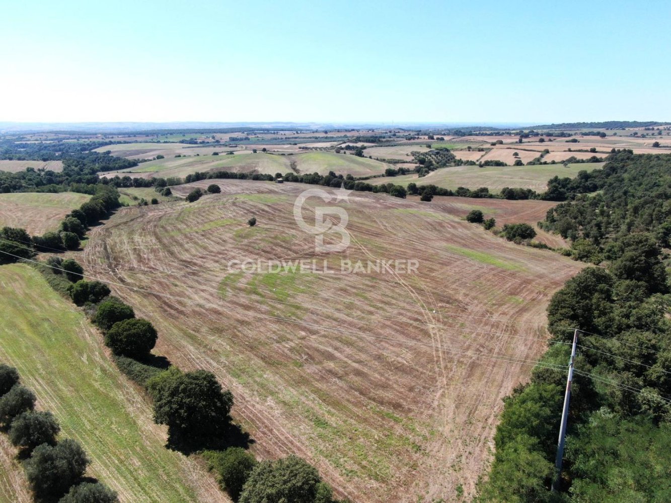 Terreno en Tuscania, Italy No. 381770