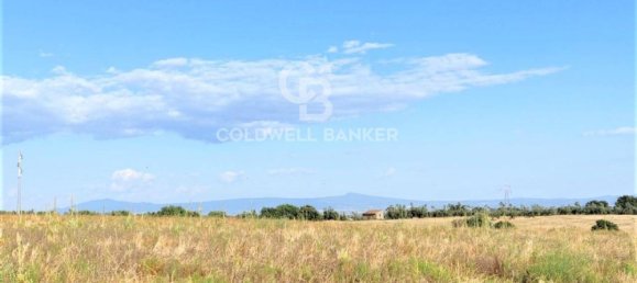 Terreno en Tuscania, Italy No. 381770 12