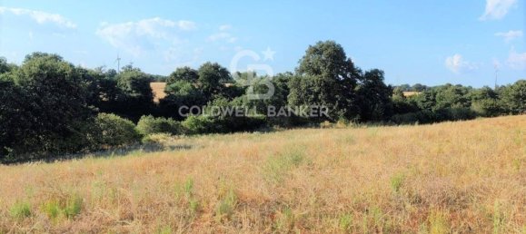 Terreno en Tuscania, Italy No. 381770 15