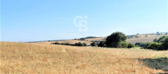 Terreno en Tuscania, Italy No. 381770 14