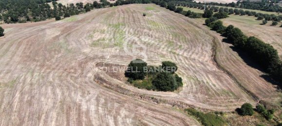 Terreno en Tuscania, Italy No. 381770 2