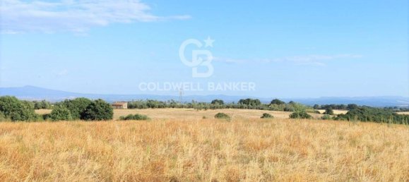 Terreno en Tuscania, Italy No. 381770 11