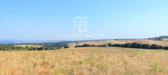 Terreno en Tuscania, Italy No. 381770 9