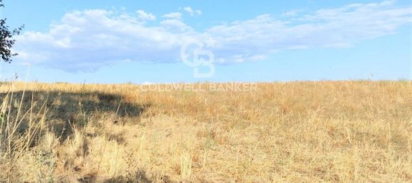 Terreno en Tuscania, Italy No. 381770 13