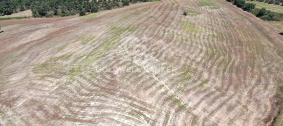 Terreno en Tuscania, Italy No. 381770 3