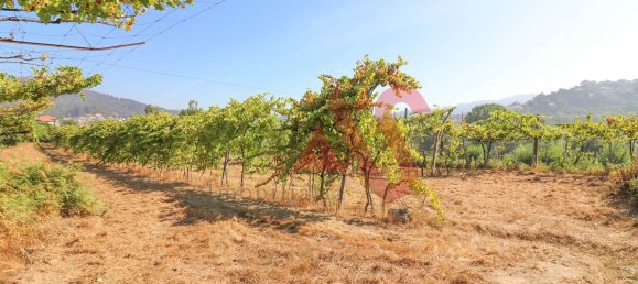 5500m² Land in Vizela, Portugal No. 38819 16