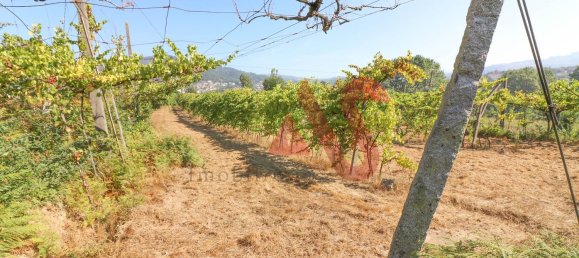 5500m² Land in Vizela, Portugal No. 38819 15