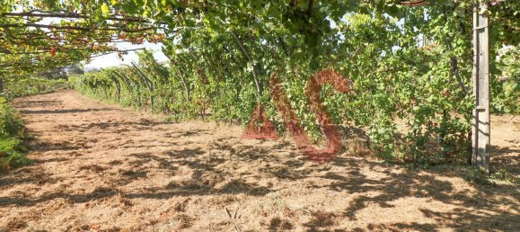 5500m² Land in Vizela, Portugal No. 38819 19