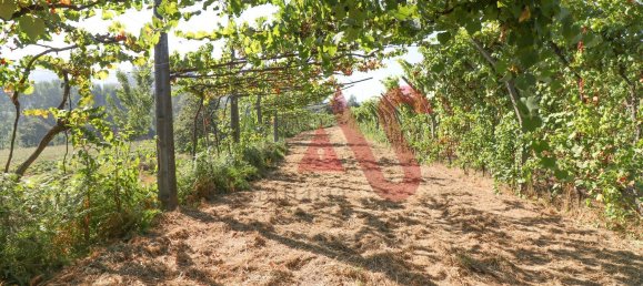 5500m² Land in Vizela, Portugal No. 38819 20