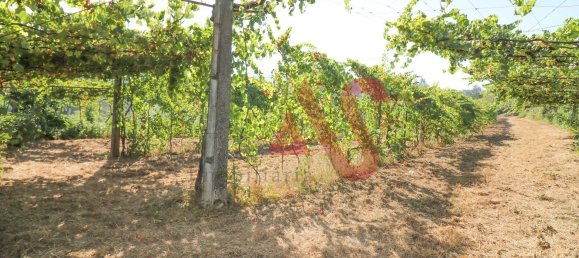 5500m² Land in Vizela, Portugal No. 38819 23