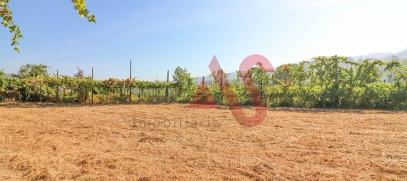 5500m² Land in Vizela, Portugal No. 38819 6