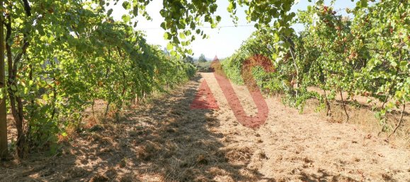 5500m² Land in Vizela, Portugal No. 38819 21