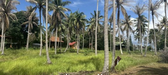  Commercial property in Surat Thani, Thailand No. 25156 9