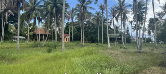  Commercial property in Surat Thani, Thailand No. 25156 7