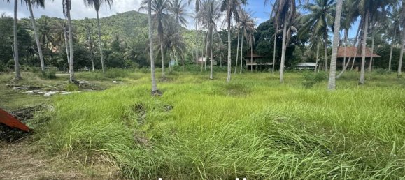  Commercial property in Surat Thani, Thailand No. 25156 8