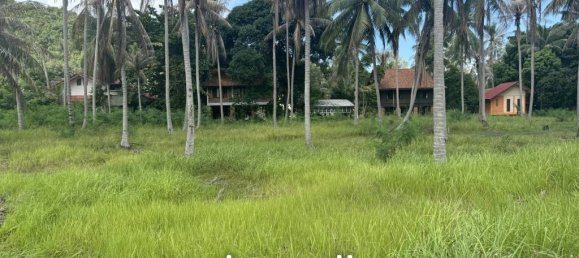  Commercial property in Surat Thani, Thailand No. 25156 4