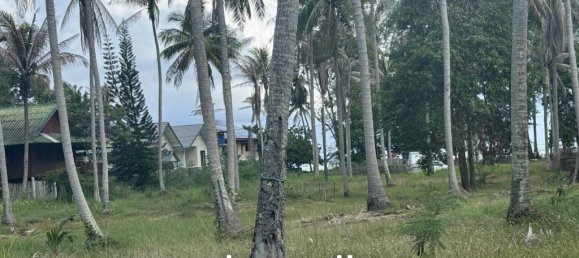  Commercial property in Surat Thani, Thailand No. 25156 10