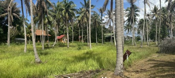  Commercial property in Surat Thani, Thailand No. 25156 6