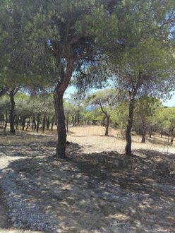 641m² Land in Almancil, Portugal No. 109140