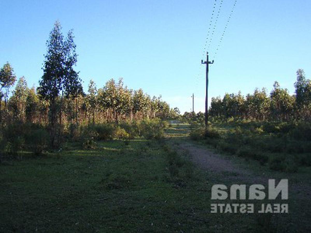  مزرعة في Maldonado, Uruguay 78متر مربع رقم 14345